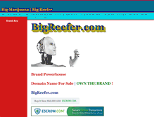 Tablet Screenshot of bigreefer.com